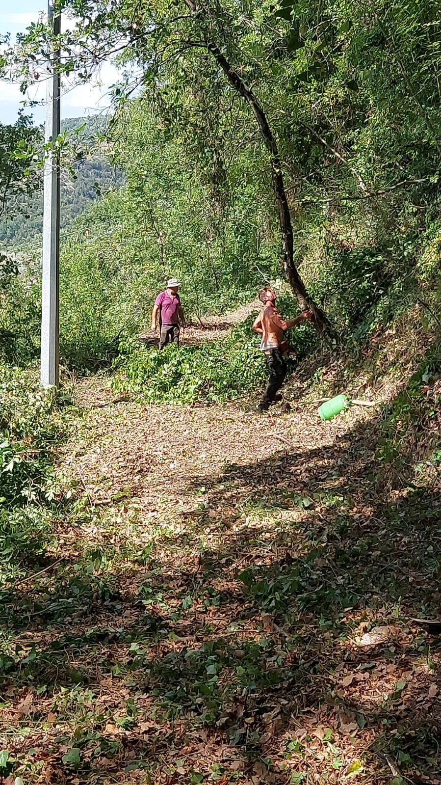 “LA PASSEGGIATA DI SAN PANTALEONE” “LA PASSEGGIATA DI SAN PANTALEONE”