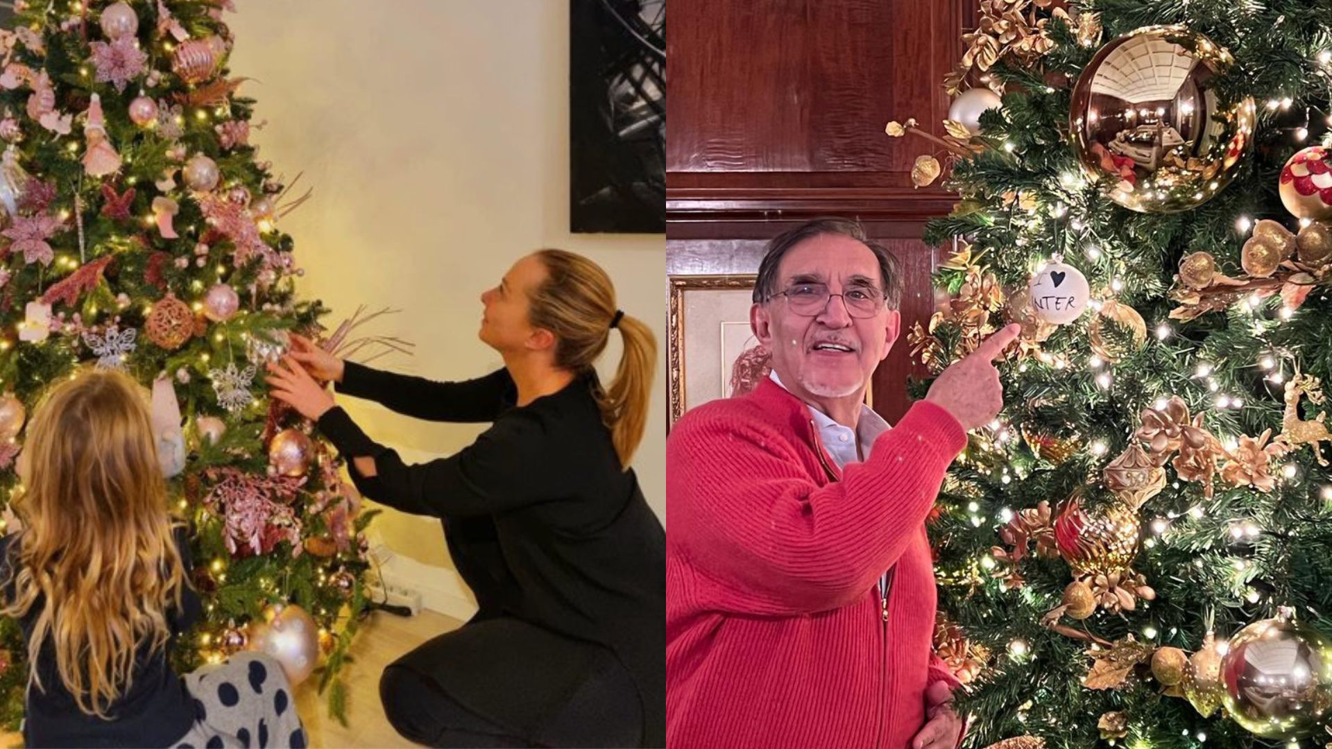 Per la festa dell’Immacolata anche il governo alle prese con l’albero di Natale Per la festa dell’Immacolata anche il governo alle prese con l’albero di Natale
