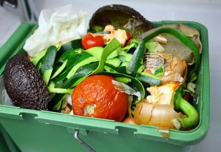 Il 2 febbraio torna la Giornata nazionale di prevenzione dello spreco alimentare Il 2 febbraio torna la Giornata nazionale di prevenzione dello spreco alimentare
