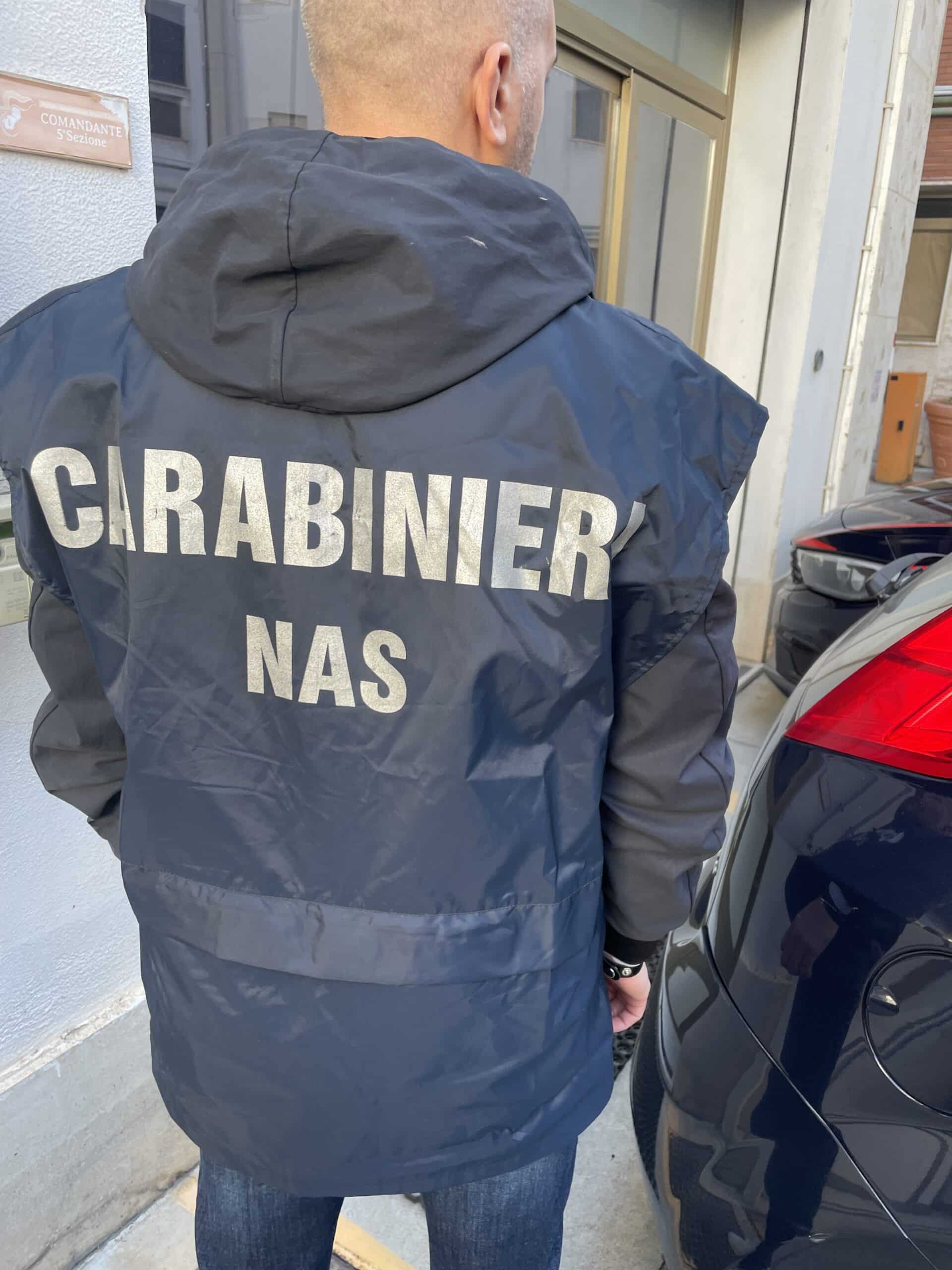 REGGIO CALABRIA: I CARABINIERI DEL NAS ESEGUONO 2 ARRESTI PER MALTRATTAMENTI E ABBANDONO DI PERSONE INCAPACI REGGIO CALABRIA: I CARABINIERI DEL NAS ESEGUONO 2 ARRESTI PER MALTRATTAMENTI E ABBANDONO DI PERSONE INCAPACI