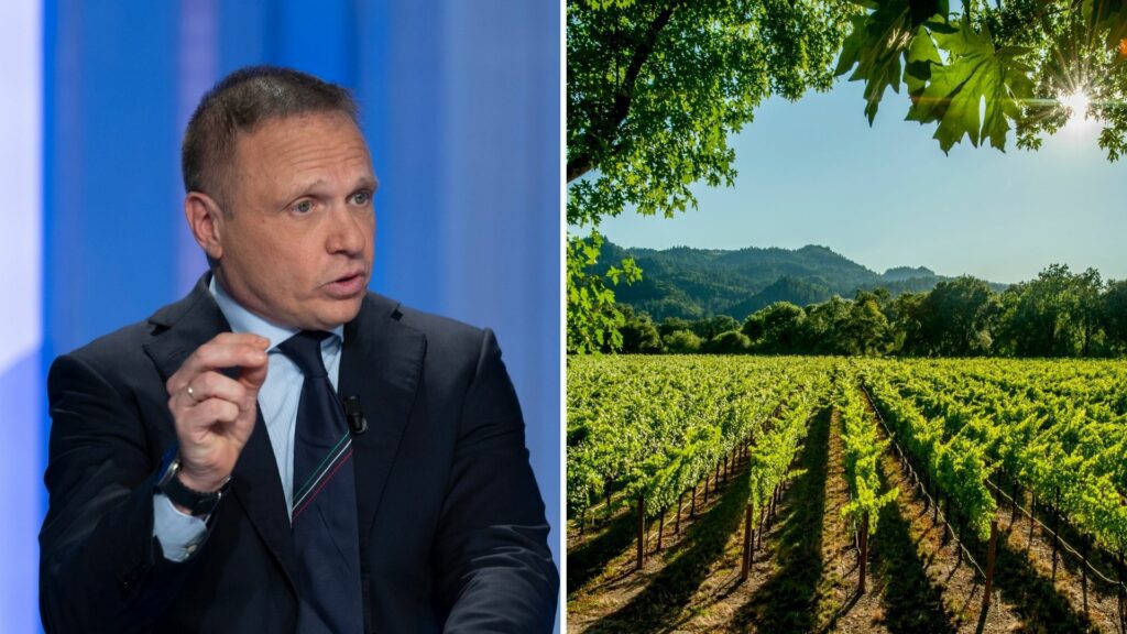 Vinitaly, Lollobrigida: “Estirperemo-sostituiremo le vigne per puntare su qualità” Vinitaly, Lollobrigida: “Estirperemo-sostituiremo le vigne per puntare su qualità”