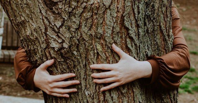 TOSCANA: RIGENERARSI TRA GLI ABBRACCI DELLA NATURA TOSCANA: RIGENERARSI TRA GLI ABBRACCI DELLA NATURA