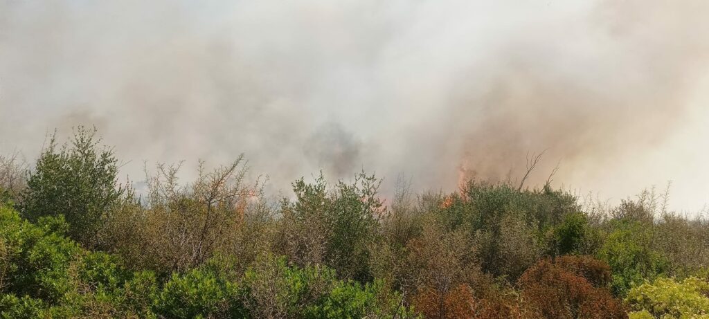 Caldo record, torna l’incubo degli incendi Caldo record, torna l’incubo degli incendi
