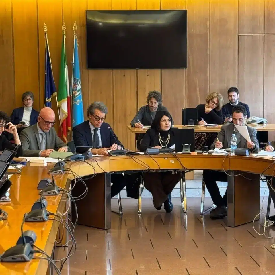 Commissione su piano autismo