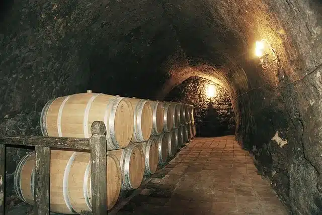 cantina