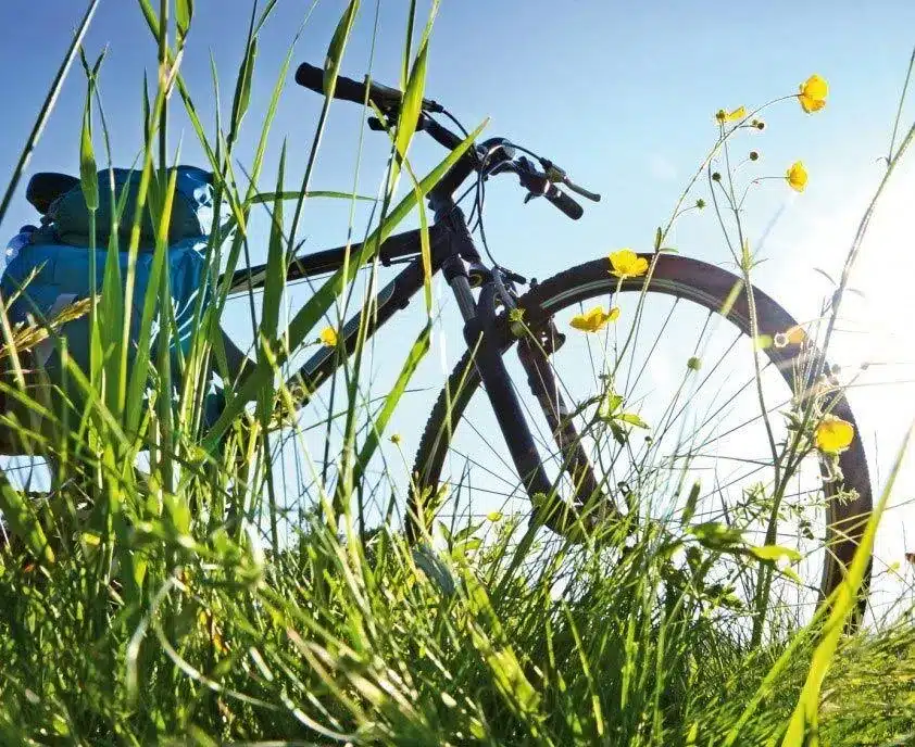 Dal mare alle colline: la Maremma più autentica si scopre in bicicletta Dal mare alle colline: la Maremma più autentica si scopre in bicicletta