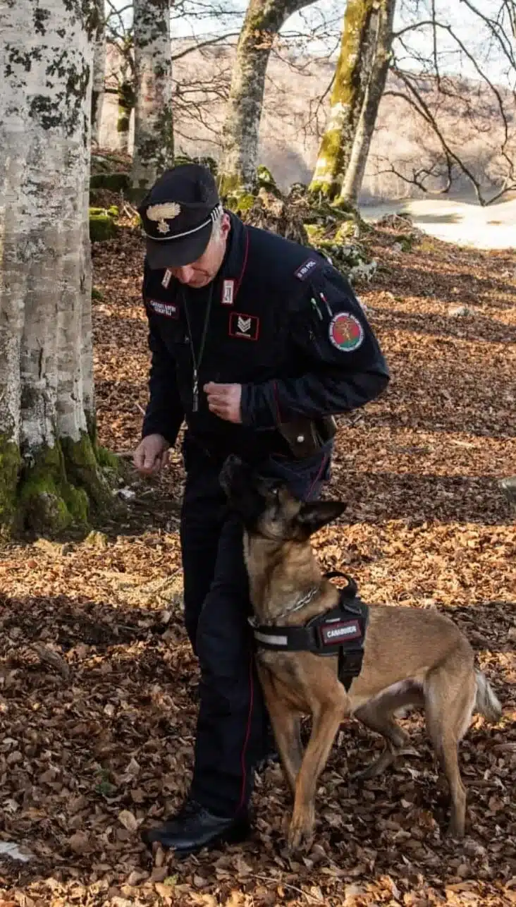 CARABINIERI FORESTALE: DENUNCIATO PER BRACCONAGGIO UN CINQUANTASETTENNE CARABINIERI FORESTALE: DENUNCIATO PER BRACCONAGGIO UN CINQUANTASETTENNE