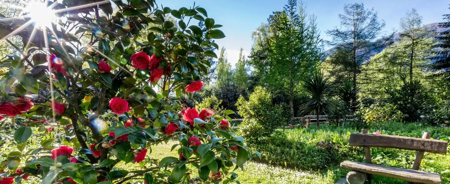 Primavera in Ticino: tradizioni pasquali e usanze autentiche Primavera in Ticino: tradizioni pasquali e usanze autentiche
