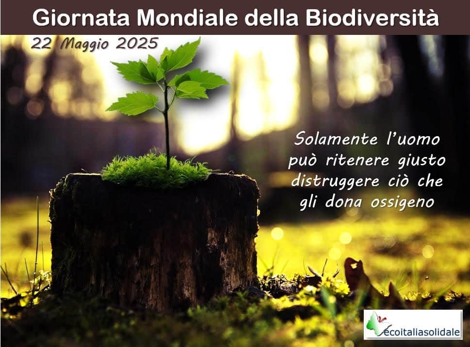 22 Maggio – Giornata Mondiale della BiodiversitàEcoitaliasolidale: “Difendere la biodiversità è difendere la nostra vita” 22 Maggio – Giornata Mondiale della BiodiversitàEcoitaliasolidale: “Difendere la biodiversità è difendere la nostra vita”