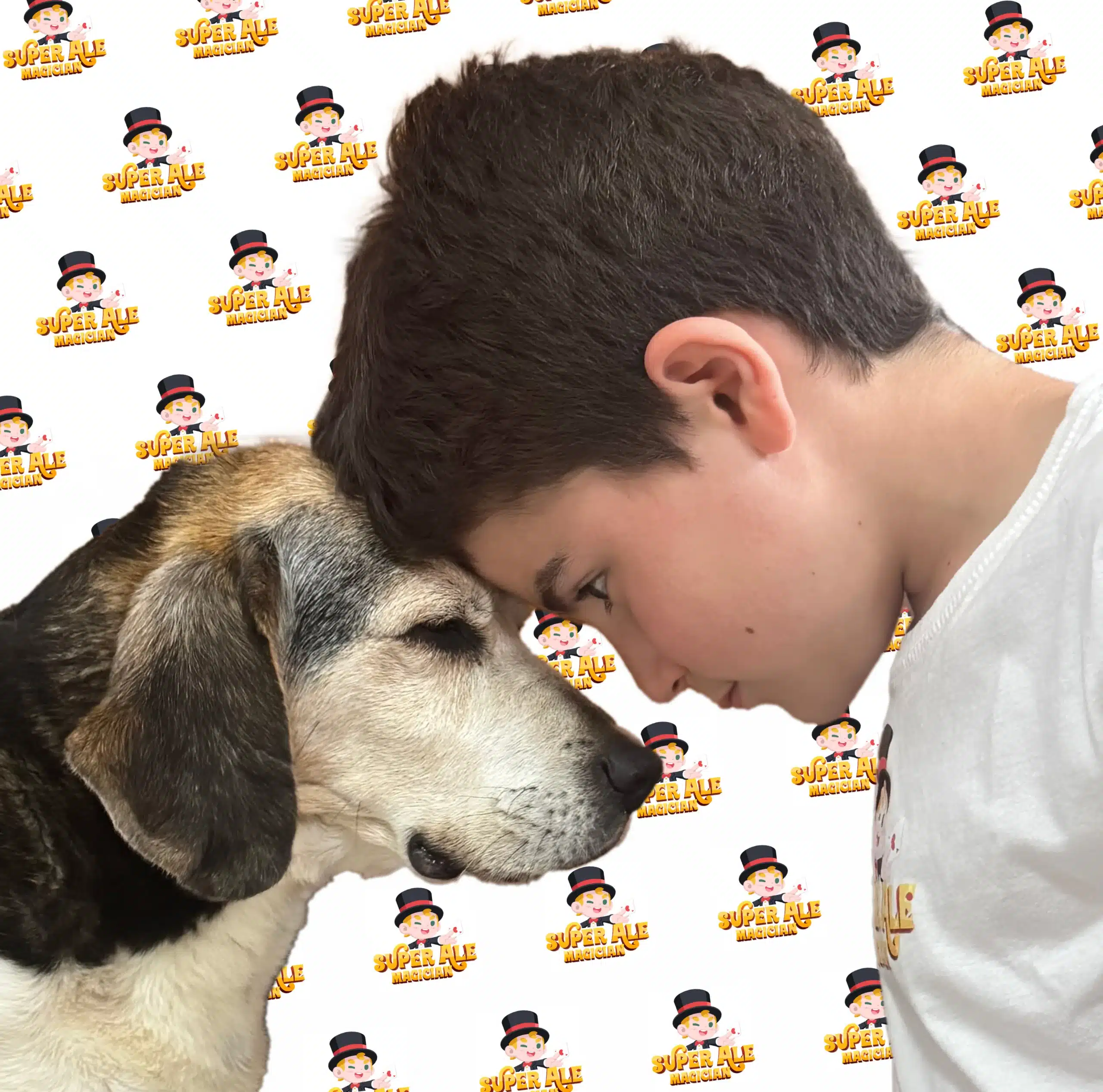 Al Centro Talenti Village arriva il “Pet Camper Tour Giubileo Edition” il 1o maggio pet camper tour