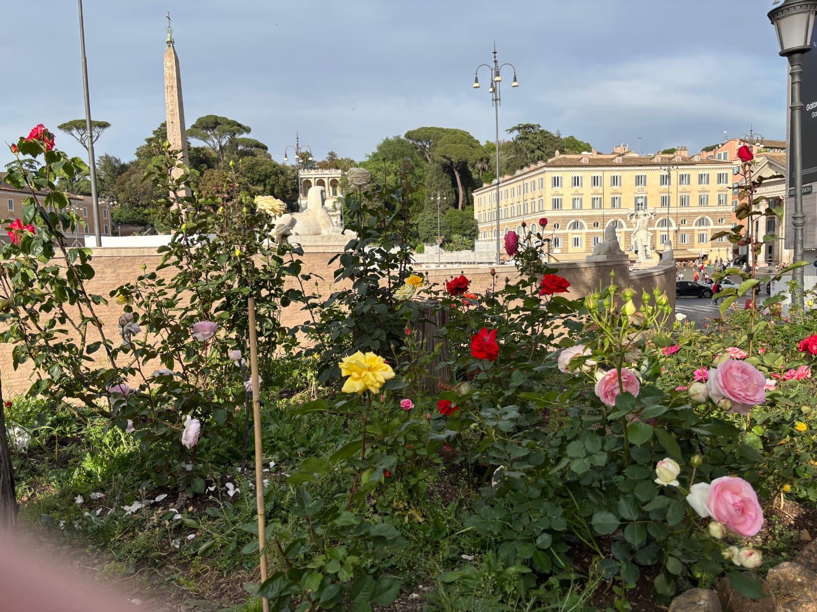 Roma – Il roseto di piazza del Popolo festeggia 6 anni Roma – Il roseto di piazza del Popolo festeggia 6 anni