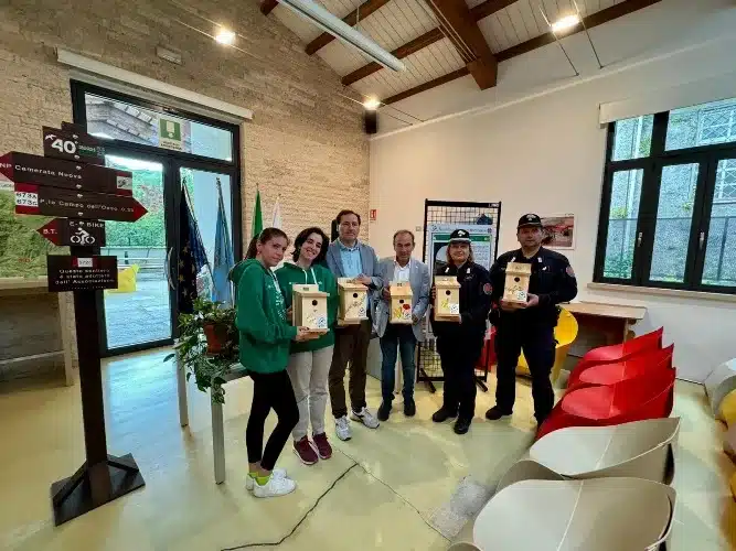 Donate le casette per gli uccelli selvatici Donate le casette per gli uccelli selvatici