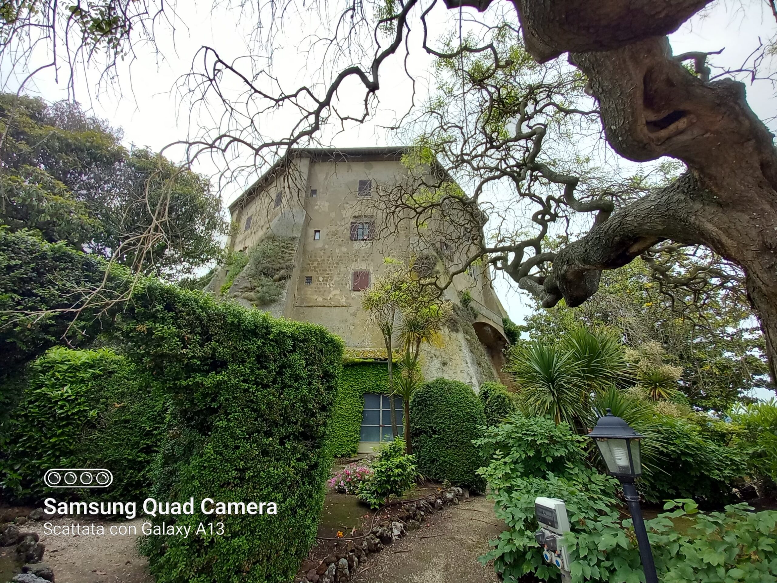 La Rete di Imprese Naturalmente Capodimonte presenta l’itinerario “La Bella e la Bestia, Capodimonte” – Una storia d’amore tra le vie del borgo La Rete di Imprese Naturalmente Capodimonte presenta l’itinerario “La Bella e la Bestia, Capodimonte” – Una storia d’amore tra le vie del borgo