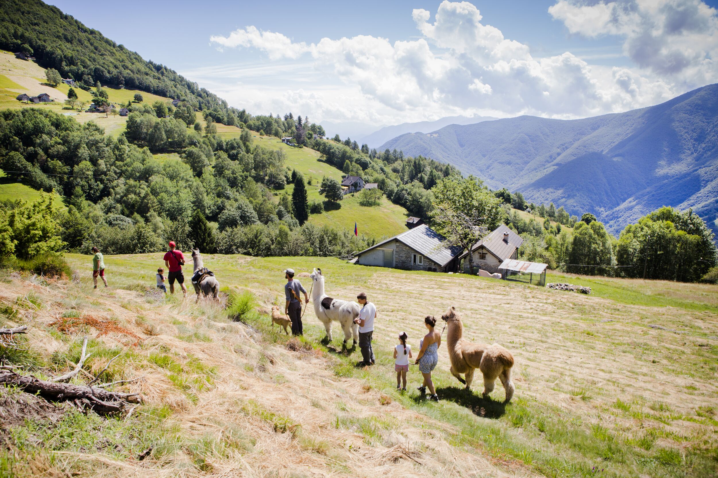 Estate ticino