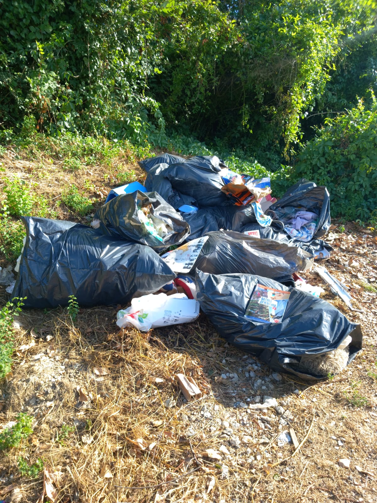 Ennesimo atto di inciviltà in via Camposaino, area bonificata e grazie alle indagini individuato il responsabile che sarà deferito all’autorità giudiziaria. Sinibaldi “tolleranza zero e sensibilizzazione” Ennesimo atto di inciviltà in via Camposaino, area bonificata e grazie alle indagini individuato il responsabile che sarà deferito all’autorità giudiziaria. Sinibaldi “tolleranza zero e sensibilizzazione”