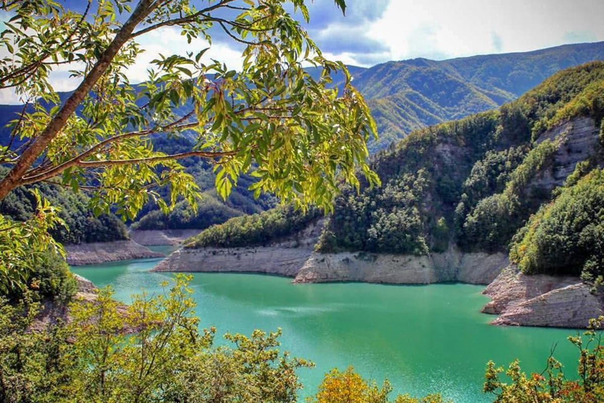 Parco Nazionale delle Foreste Casentinesi: un tuffo nella natura autentica dell’Appennino Parco Nazionale delle Foreste Casentinesi: un tuffo nella natura autentica dell’Appennino