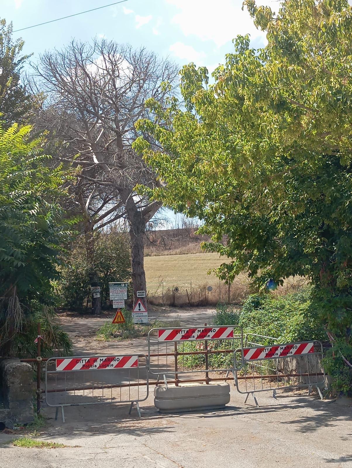 Santa Maria Mole, Pace (Pd): “Eliminare pericolo e riaprire subito via Repubblica” Santa Maria Mole, Pace (Pd): “Eliminare pericolo e riaprire subito via Repubblica”