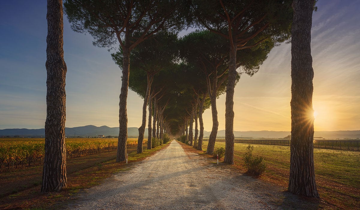 Toscana da vivere: arte, sapori e natura senza confini Toscana da vivere: arte, sapori e natura senza confini