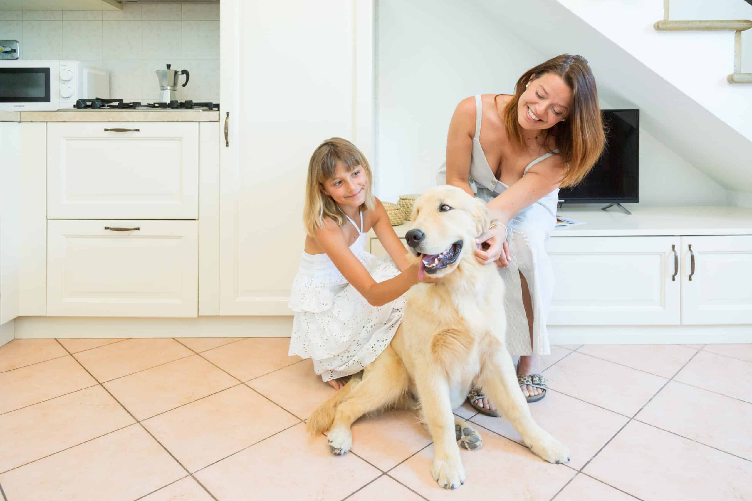 Giornata Mondiale del Cane, la gioia di un’amicizia autentica Giornata Mondiale del Cane, la gioia di un’amicizia autentica