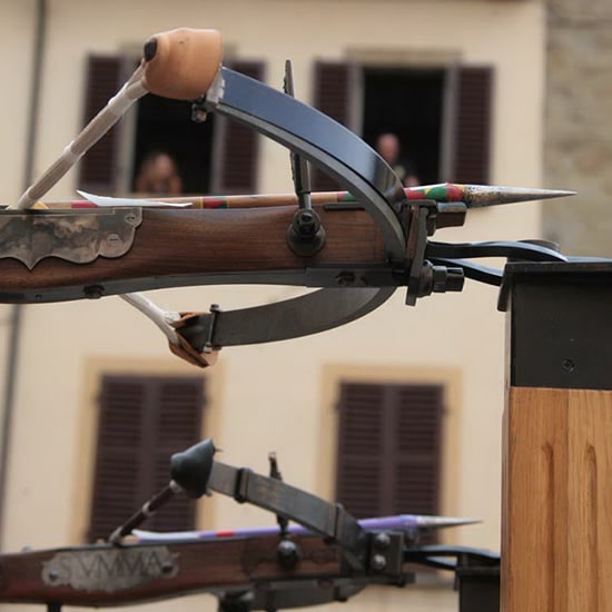 Trovato in casa con una freccia in testa ma ancora vivo: è giallo ad Ancona Trovato in casa con una freccia in testa ma ancora vivo: è giallo ad Ancona
