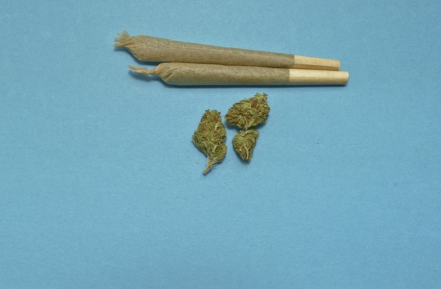 De Lillo (Omceo Roma): “La cannabis determina gravissimi effetti psicotropi” De Lillo (Omceo Roma): “La cannabis determina gravissimi effetti psicotropi”