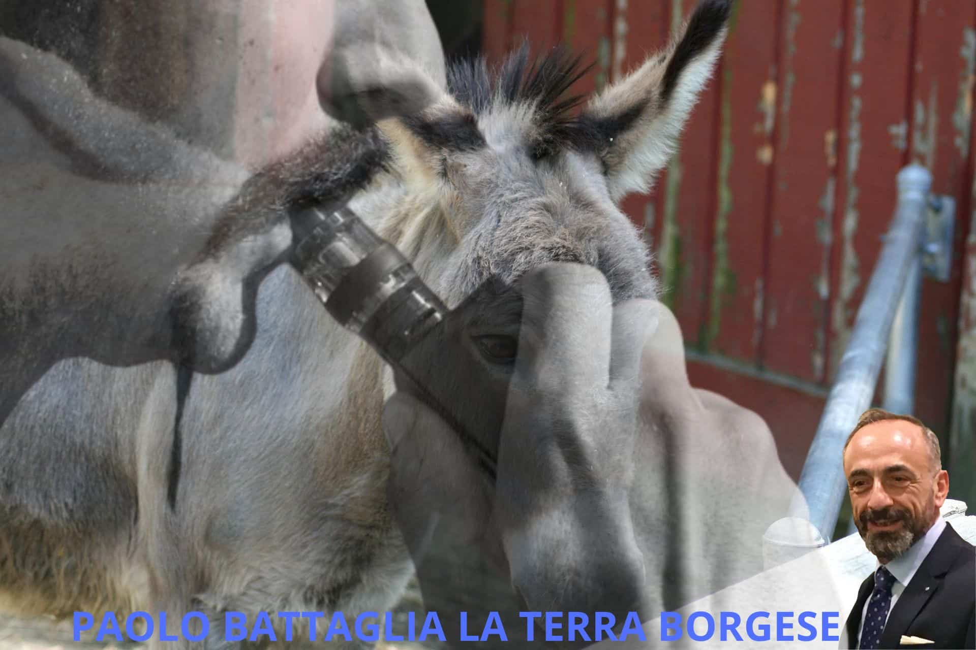 critico_d_arte_paolo_battaglia_la_terra_borgese