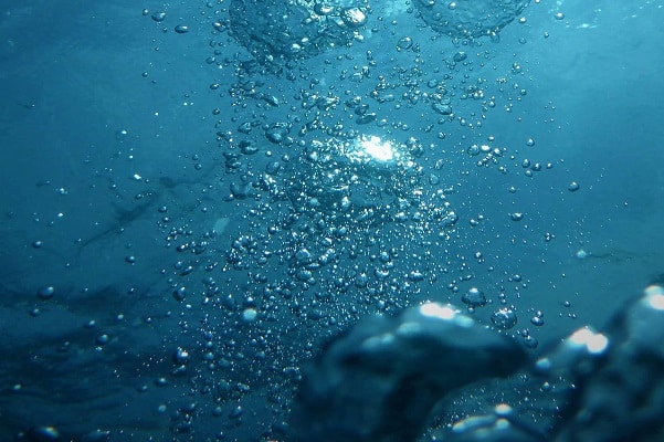 AntropoCine Film Fest. L’appuntamento col cinema che parla d’Ambiente AntropoCine Film Fest. L’appuntamento col cinema che parla d’Ambiente