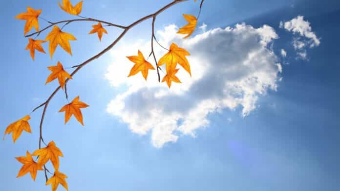 cielo-autunno-bel-tempo-sole-1024x576
