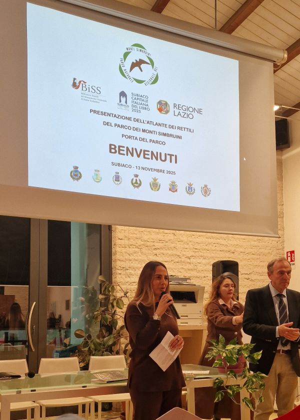 I rettili, importanti sentinelle della biodiversità I rettili, importanti sentinelle della biodiversità