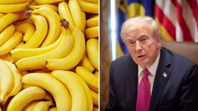 trump-banane-1024x576