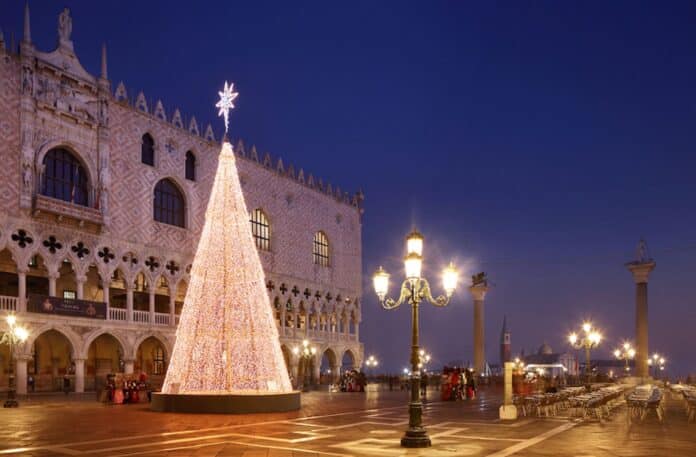 venezia-albero
