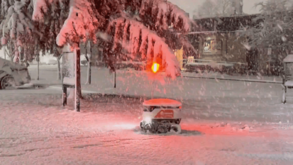 Nevicate e ondate di gelo negli Stati Uniti, a Chicago caos e voli cancellati Nevicate e ondate di gelo negli Stati Uniti, a Chicago caos e voli cancellati