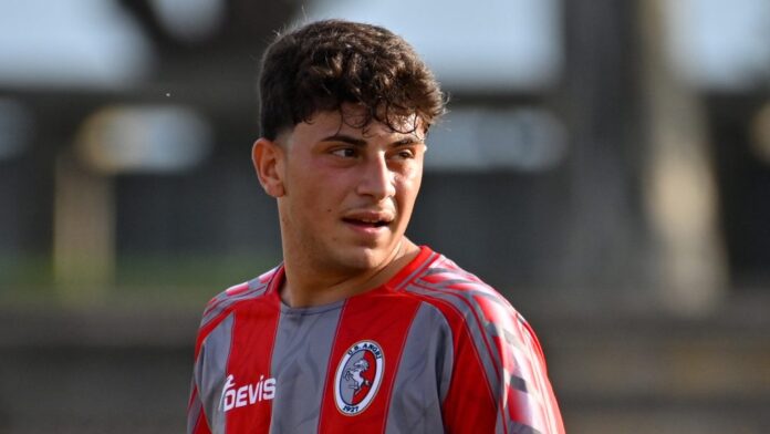 petrone_