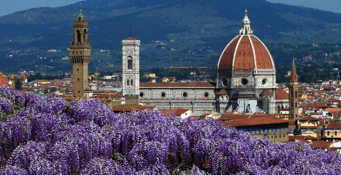 Panorama of Florence. Cathedral of Santa Maria del Fiore as seen from Bardini Garden with beautiful wisteria in bloom. Florence, Italy.