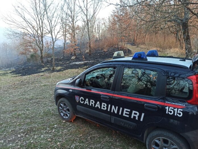 Foto CC Forestale