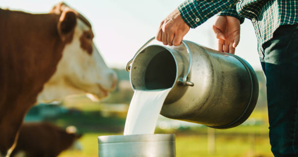 LATTE, COLDIRETTI LAZIO: AL TAVOLO IN REGIONE CONFRONTO CON LE INDUSTRIE. ORA L’ACCORDO VA APPLICATO E VA RICONOSCIUTO IL DIFFERENZIALE DEL LAZIO LATTE, COLDIRETTI LAZIO: AL TAVOLO IN REGIONE CONFRONTO CON LE INDUSTRIE. ORA L’ACCORDO VA APPLICATO E VA RICONOSCIUTO IL DIFFERENZIALE DEL LAZIO