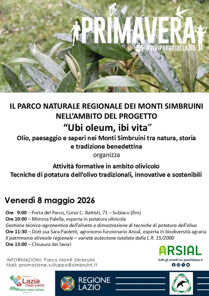 L’olio come simbolo di territorio , cultura benedettina e salute L’olio come simbolo di territorio , cultura benedettina e salute