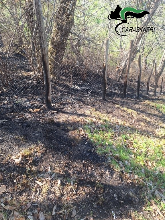 INCENDI NEL REATINO: IDENTIFICATI I RESPONSABILI DAI CARABINIERI FORESTALI INCENDI NEL REATINO: IDENTIFICATI I RESPONSABILI DAI CARABINIERI FORESTALI