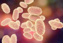 Una malattia respiratoria potenzialmente fatale, in Italia 5 casi dal 2000: cos’è la Difterite
