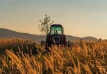 AGRICOLTURA, COLDIRETTI LAZIO: ACCOLTA NOSTRA RICHIESTA DI SOSTEGNO REGIONALE PER RIDURRE I COSTI ASSICURATIVI