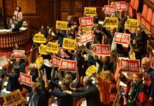Via libera alla legge elettorale in Senato, la protesta delle opposizioni: โUna legge truffaโ. Cosa prevede