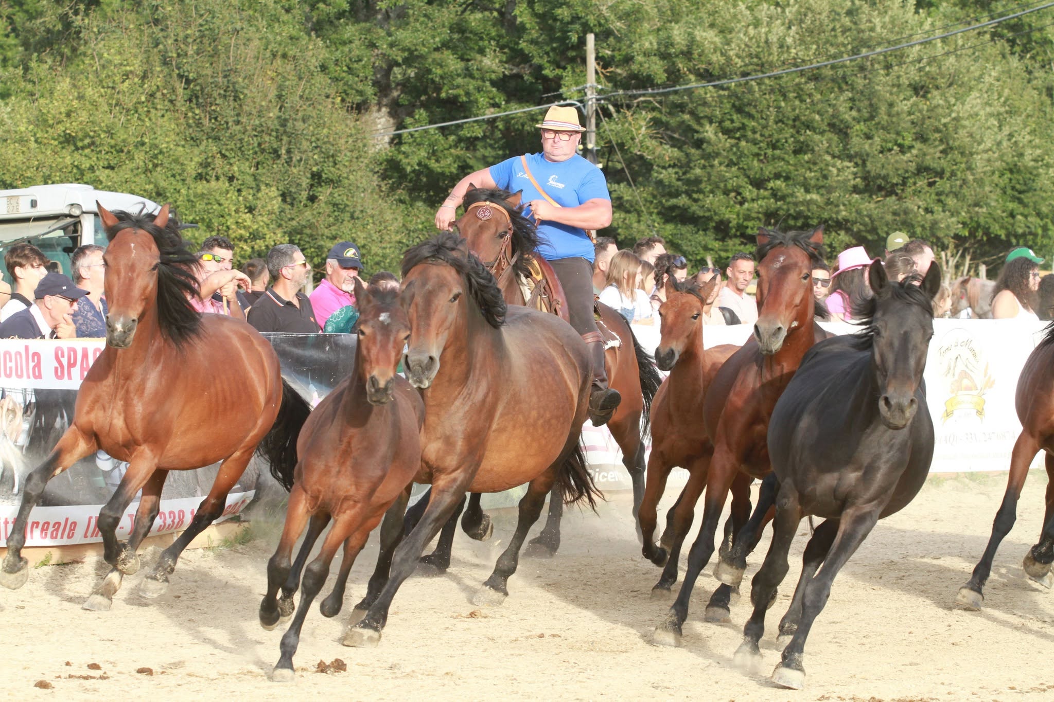 Fiera Amatrice a cavallo 2026: dal 3 al 6 settembre a Torrita di Amatrice (RI)