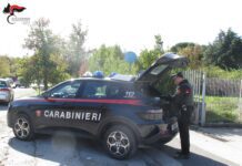 CARABINIERI: CONTROLLI NELL’AREA EX BOSI