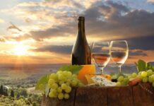 IL VIAGGIO DELLA MEMORIA E DEL GUSTO: PERCHÉ L’ENOGASTRONOMIA È LA NUOVA FRONTIERA DEL TURISMO CULTURALE