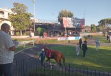 Capannelle, Ambrogiani(Si può fare): “Riapertura Ippodromo è vittoria comunità”