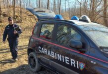 Carabinieri Forestali: controlli sul taglio e sulla gestione dei boschi