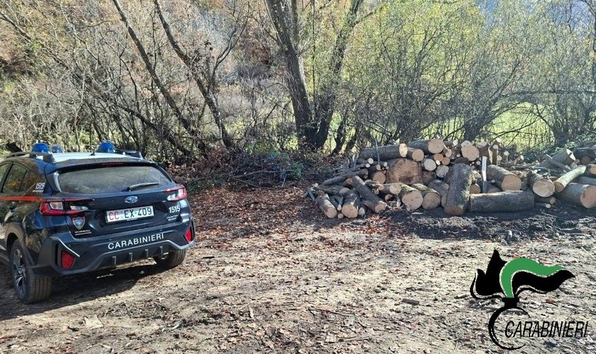 Carabinieri Forestali: controlli sul taglio e sulla gestione dei boschi 1 foto 2 4