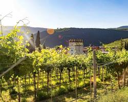 ENOGASTRONOMIA E TURISMO: IL VIAGGIO ALLA RISCOPERTA DELLE ECCELLENZE DEL TERRITORIO