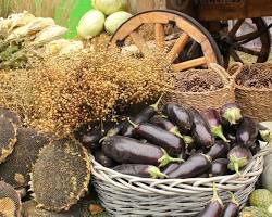 I SAPORI DELLA TERRA: PERCHร SCEGLIERE IL CIBO LOCALE FA BENE ALLA SALUTE E ALL’ECONOMIA