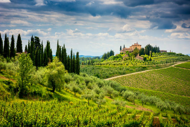 Turismo dei sapori: quando la cucina diventa il passaporto per conoscere l’anima dei borghi 1 istockphoto 1244584599 612x612 1
